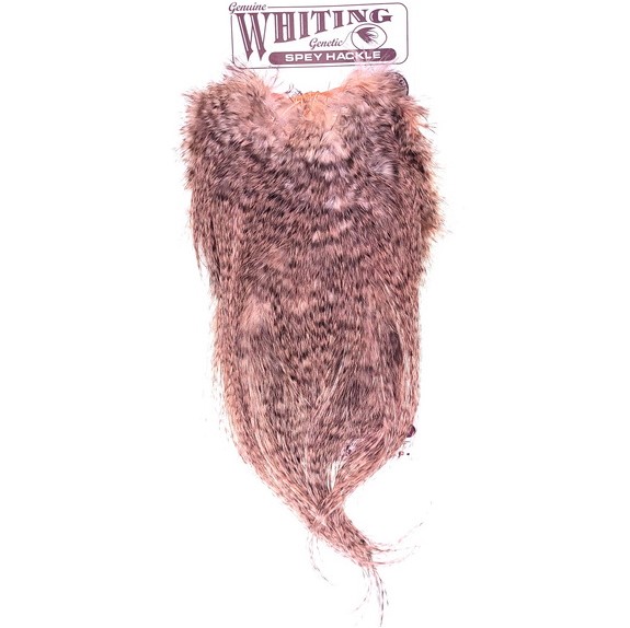 Whiting Bronze Spey Hackle Saddle Pink